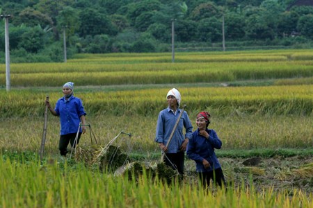 การเสวนา “ผู้แทนรัฐสภาและ 5 ปีปฏิบัติกฎหมายความเสมอภาคทางเพศ”